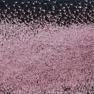 We specializes in Adventure activities Mountain Treks, Biking Treks, Rafting, Camping.