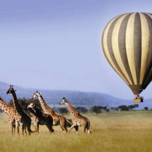 We specializes in Adventure activities Mountain Treks, Biking Treks, Rafting, Camping.