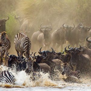 We specializes in Adventure activities Mountain Treks, Biking Treks, Rafting, Camping.