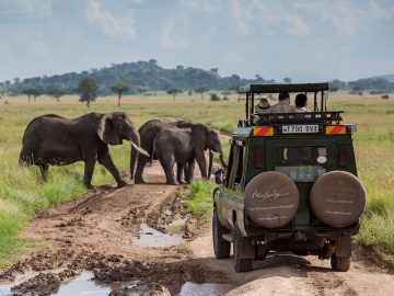 We specializes in Adventure activities Mountain Treks, Biking Treks, Rafting, Camping.