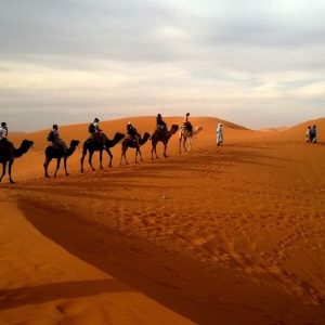 We specializes in Adventure activities Mountain Treks, Biking Treks, Rafting, Camping.