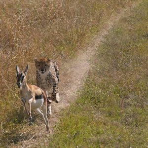 We specializes in Adventure activities Mountain Treks, Biking Treks, Rafting, Camping.