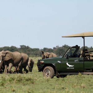 We specializes in Adventure activities Mountain Treks, Biking Treks, Rafting, Camping.