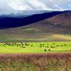 We specializes in Adventure activities Mountain Treks, Biking Treks, Rafting, Camping.