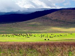 We specializes in Adventure activities Mountain Treks, Biking Treks, Rafting, Camping.