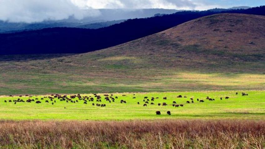 We specializes in Adventure activities Mountain Treks, Biking Treks, Rafting, Camping.