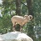 We specializes in Adventure activities Mountain Treks, Biking Treks, Rafting, Camping.