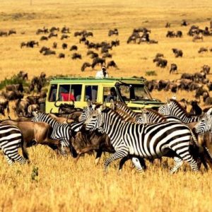 We specializes in Adventure activities Mountain Treks, Biking Treks, Rafting, Camping.