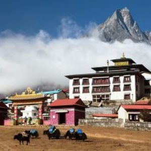 We specializes in Adventure activities Mountain Treks, Biking Treks, Rafting, Camping.