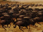 We specializes in Adventure activities Mountain Treks, Biking Treks, Rafting, Camping.