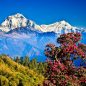 We specializes in Adventure activities Mountain Treks, Biking Treks, Rafting, Camping.